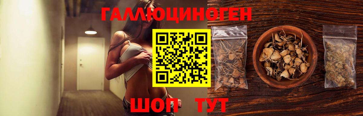 Галлюциногенные грибы мицелий  Вход с VPN  Мытищи 